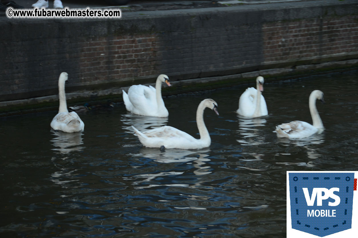 Leaseweb's Pre-Queensday Cruise