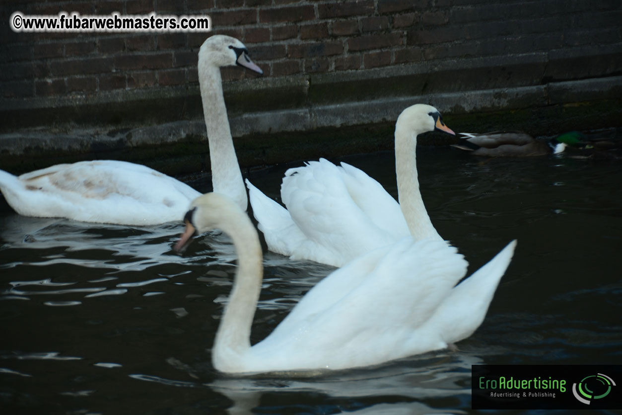 Leaseweb's Pre-Queensday Cruise