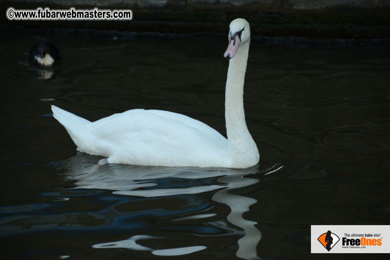 Leaseweb's Pre-Queensday Cruise