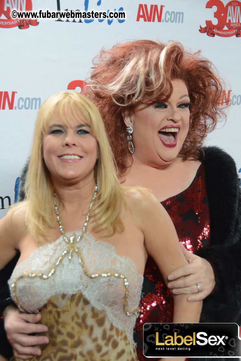 Red Carpet Arrivals for the AVN Awards