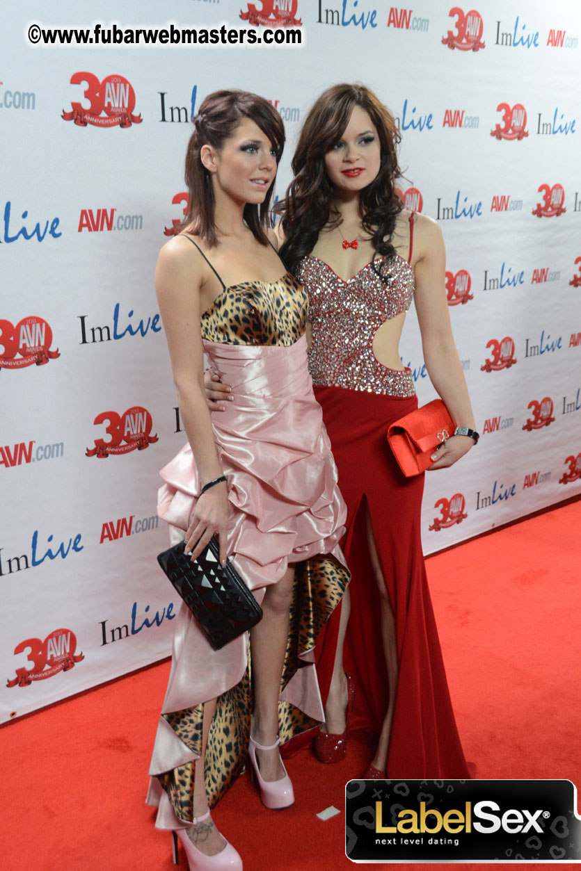 Red Carpet Arrivals for the AVN Awards