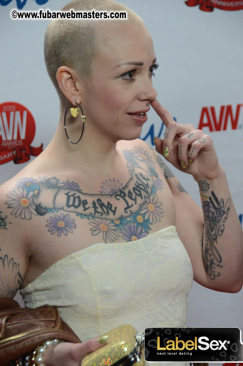 Red Carpet Arrivals for the AVN Awards