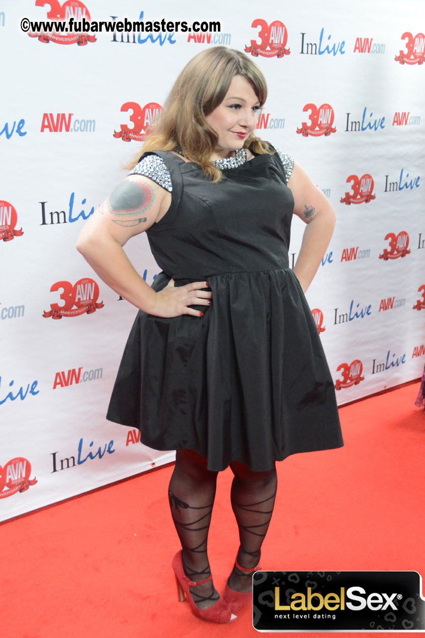 Red Carpet Arrivals for the AVN Awards