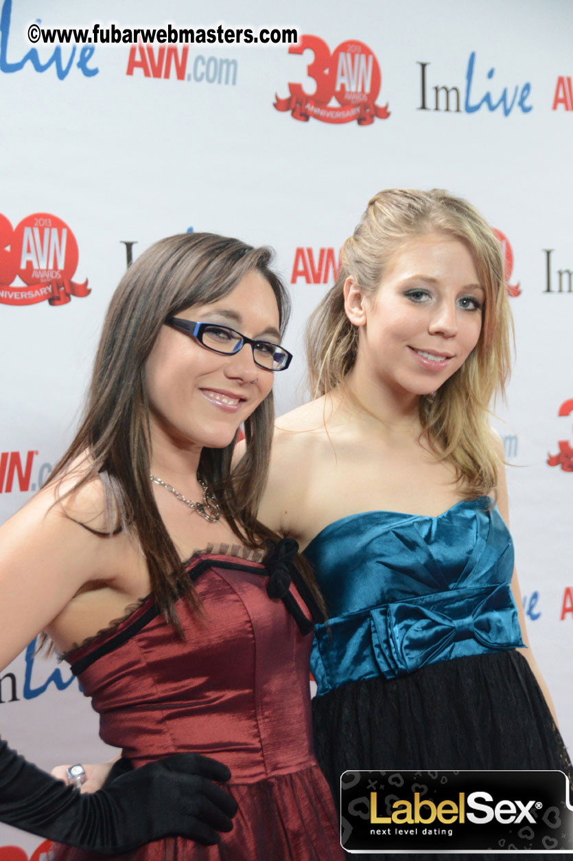 Red Carpet Arrivals for the AVN Awards