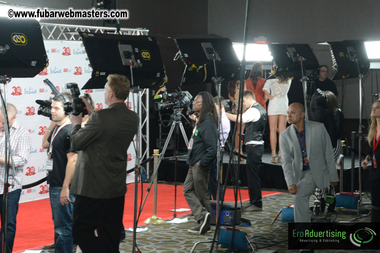 Red Carpet Arrivals for the AVN Awards