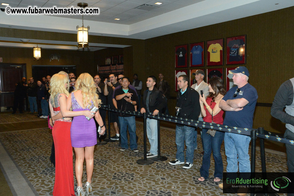 2013 AVN Awards Show