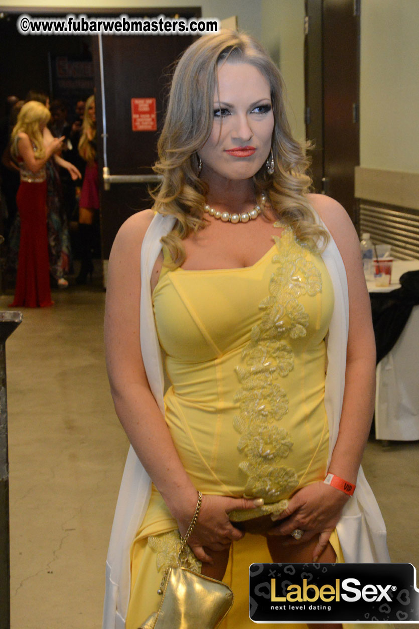 2013 AVN Awards Show