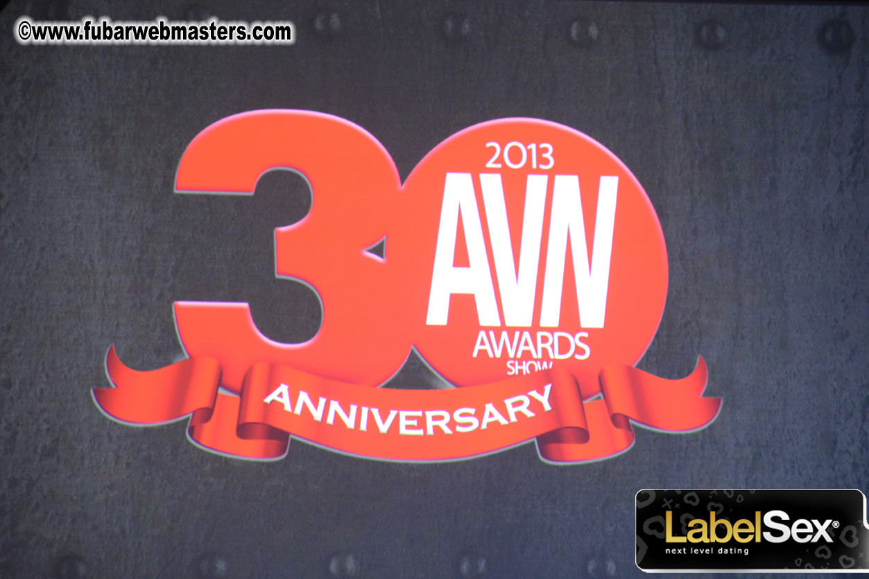 2013 AVN Awards Show