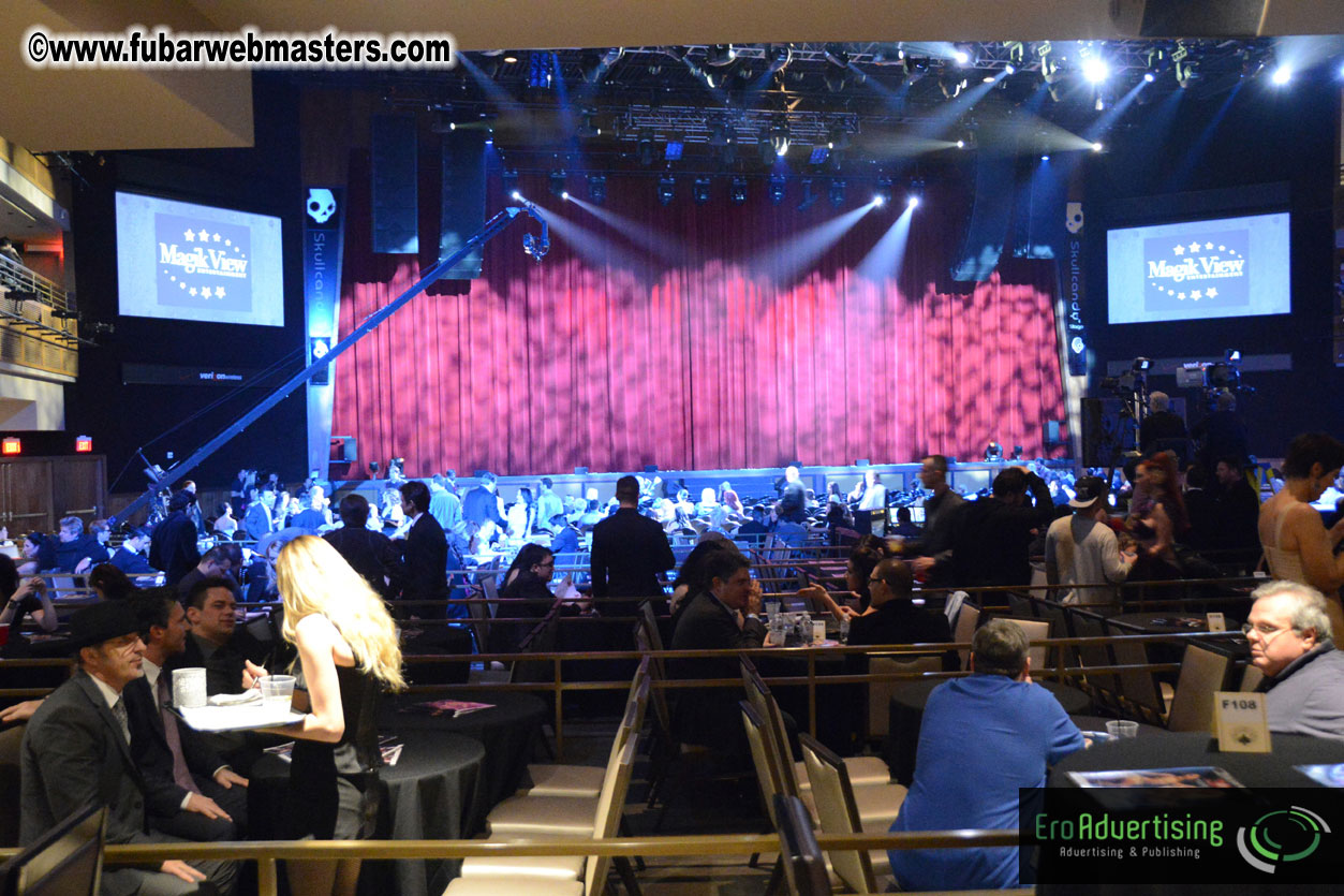 2013 AVN Awards Show