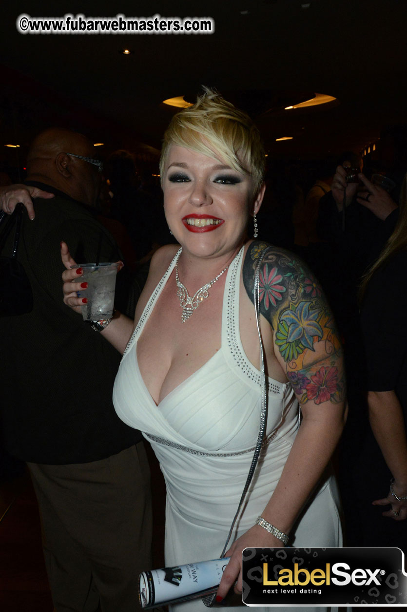 2013 AVN Awards Show