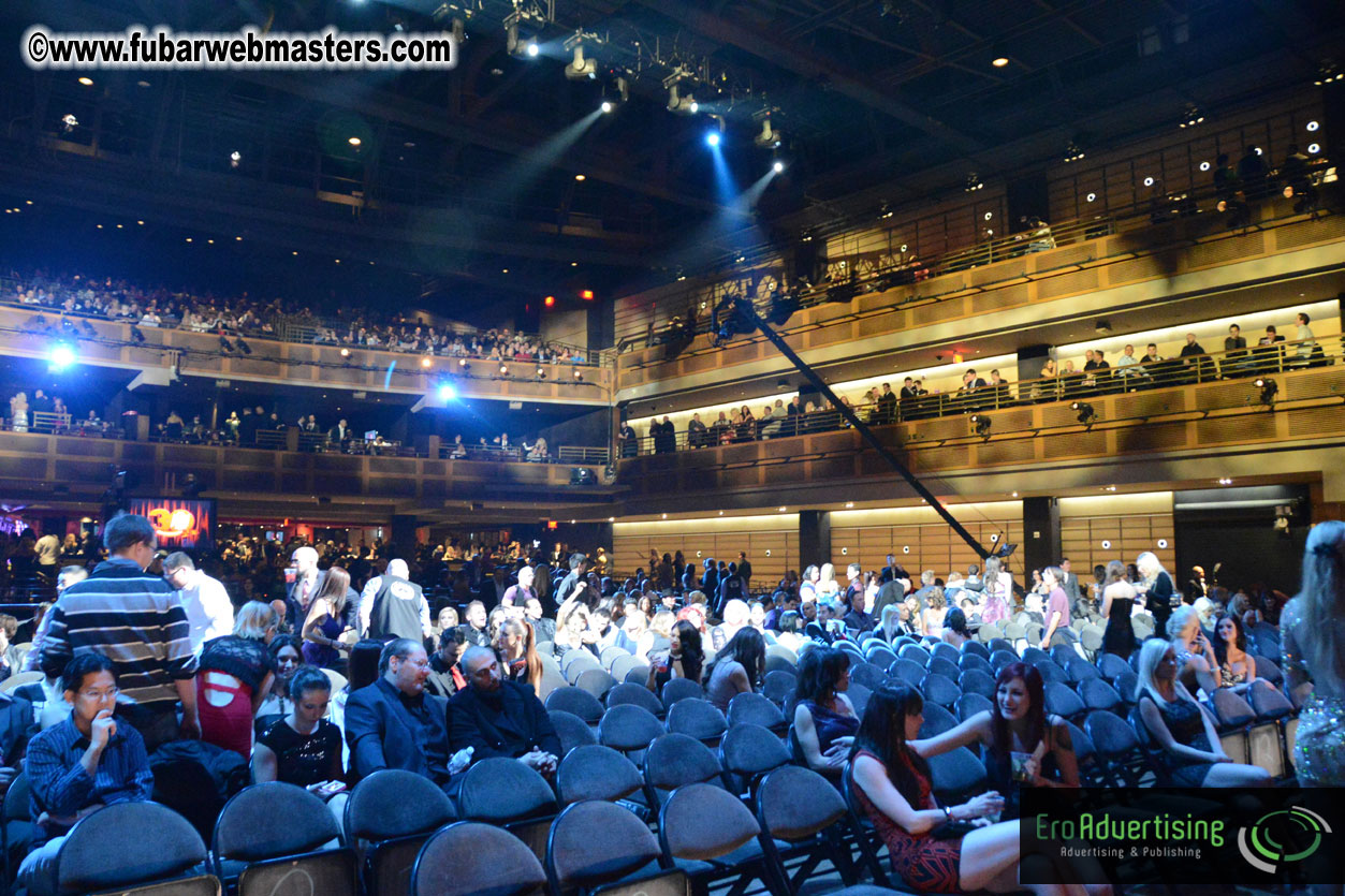 2013 AVN Awards Show