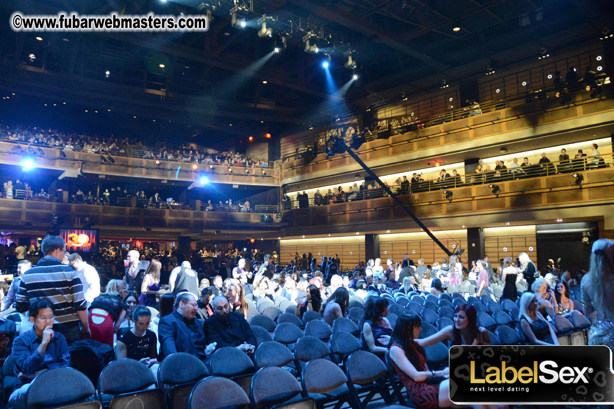 2013 AVN Awards Show