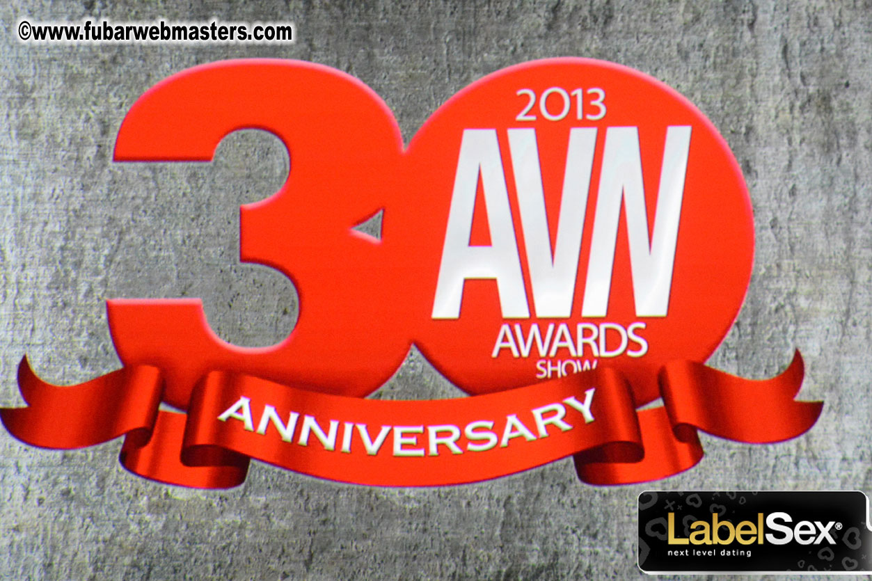 2013 AVN Awards Show