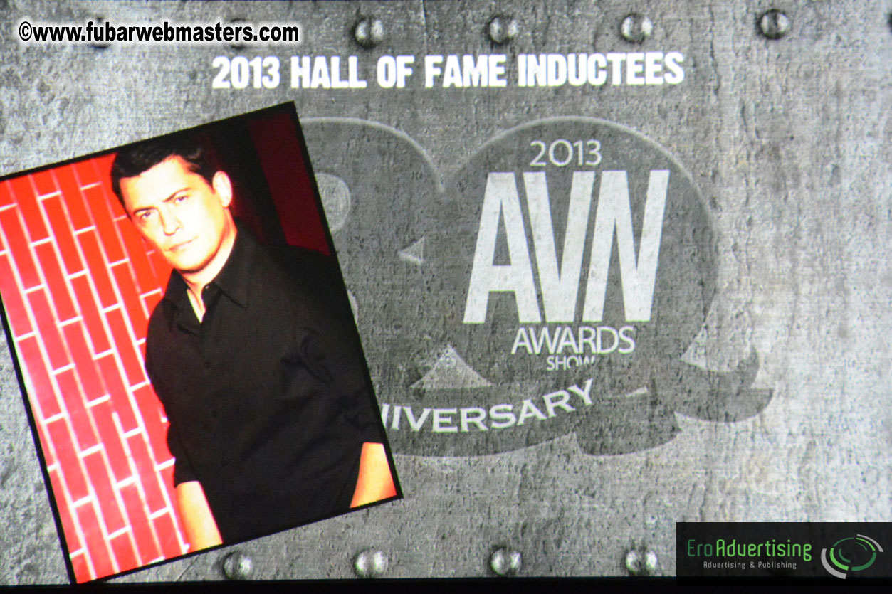 2013 AVN Awards Show