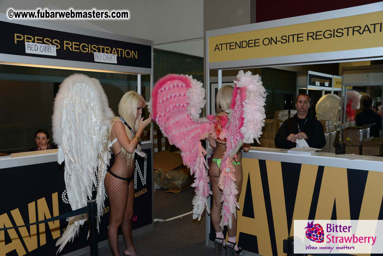 AVN Show floor