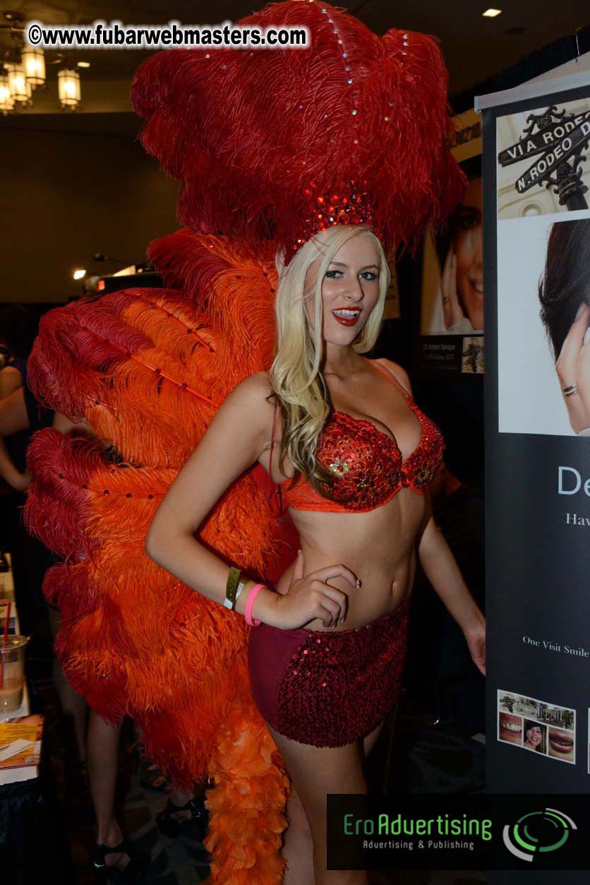 AVN Show floor