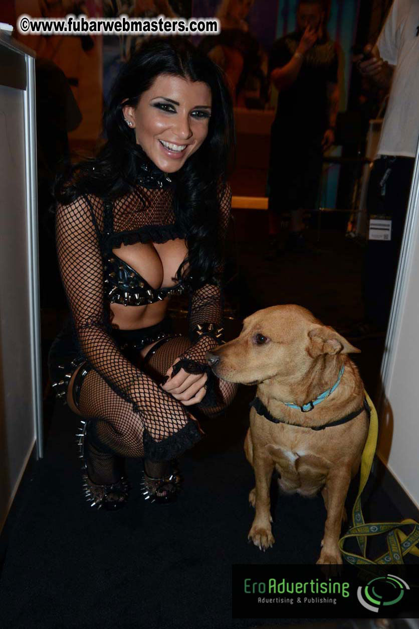 AVN Show floor