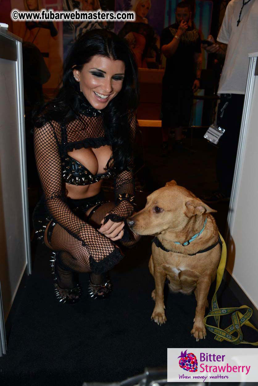 AVN Show floor