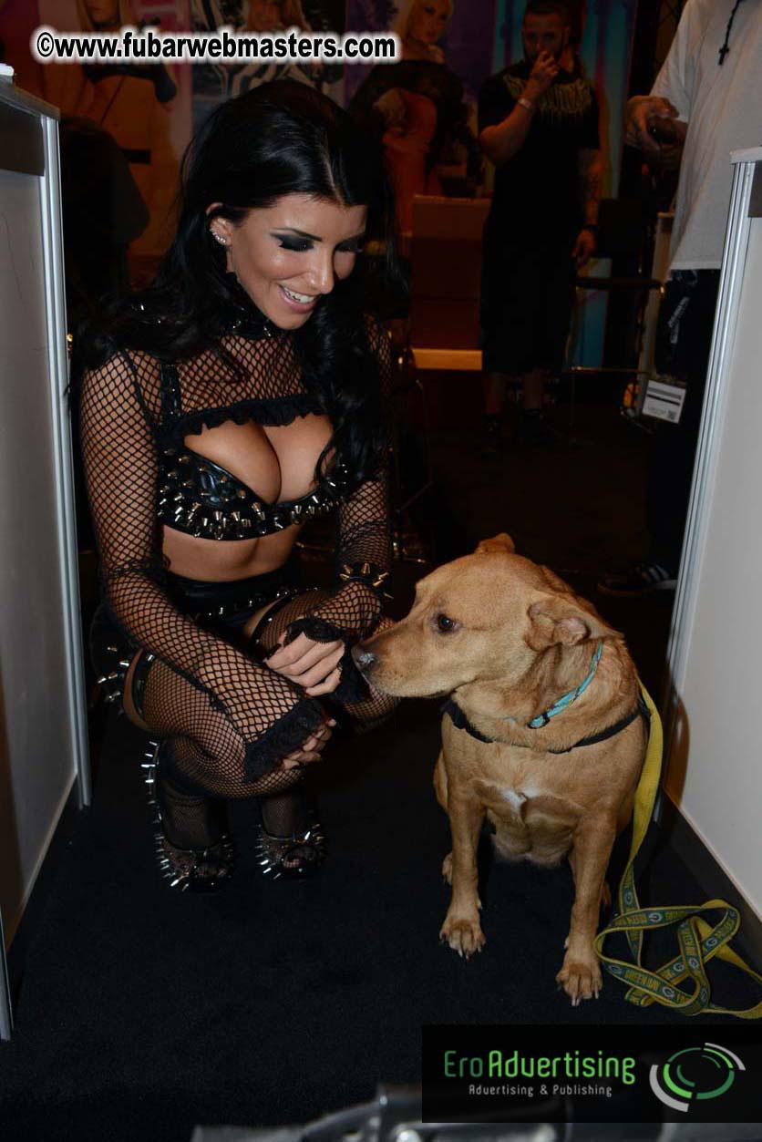 AVN Show floor