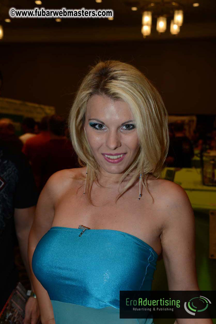 AVN Show floor