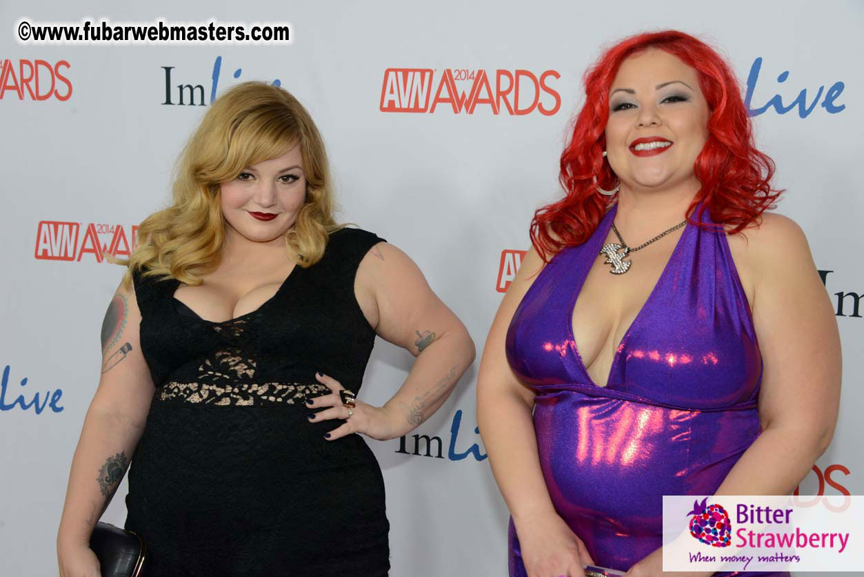 AVN Awards Red Carpet