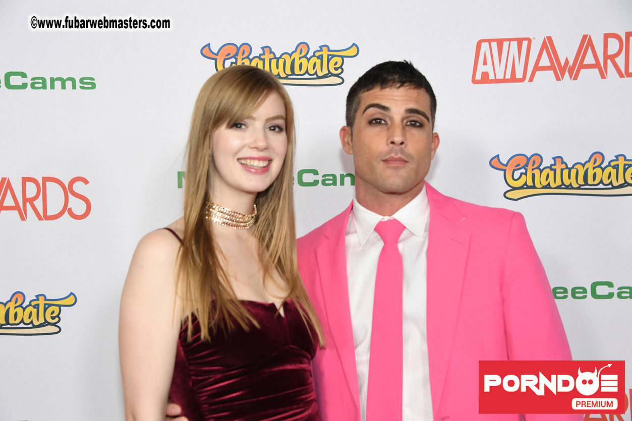 The 2017 AVN Awards