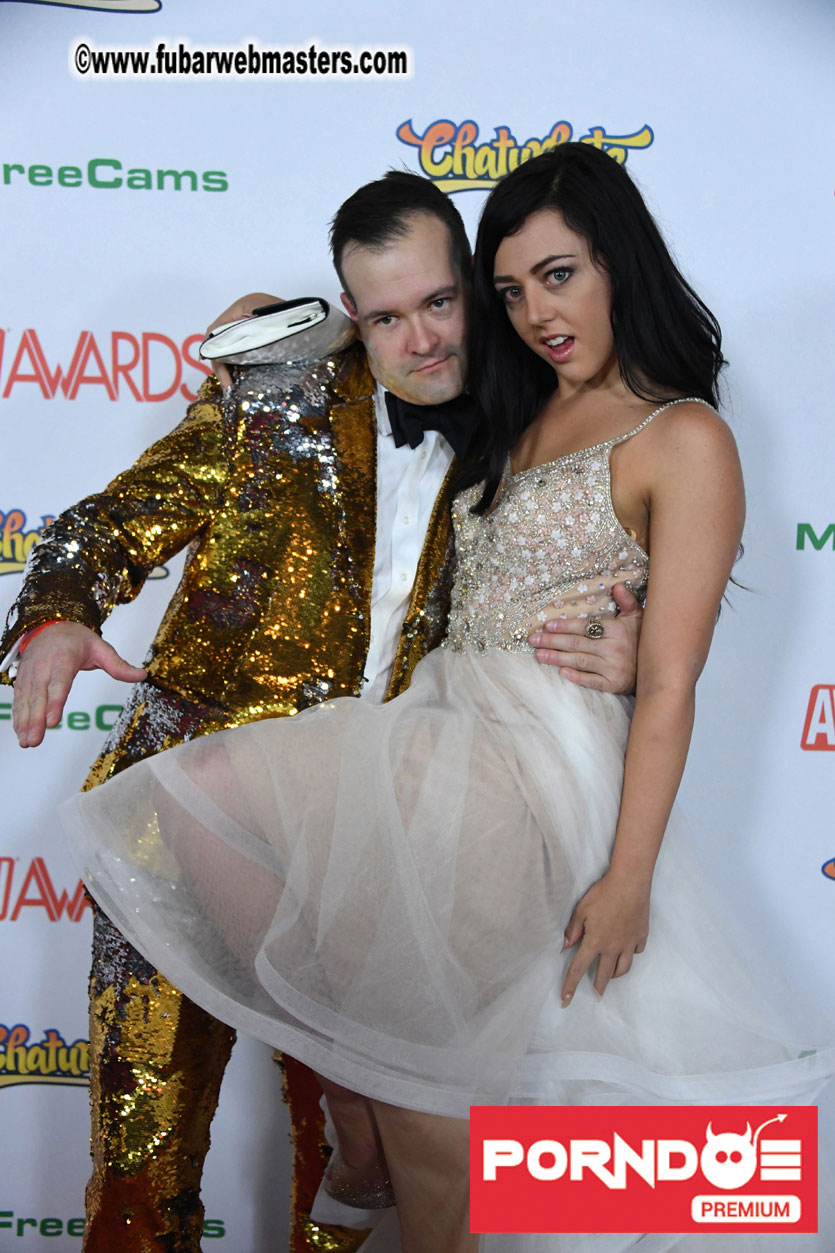 The 2017 AVN Awards