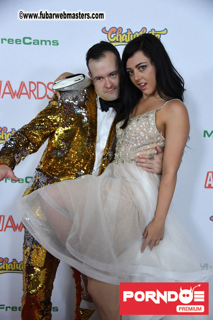 The 2017 AVN Awards