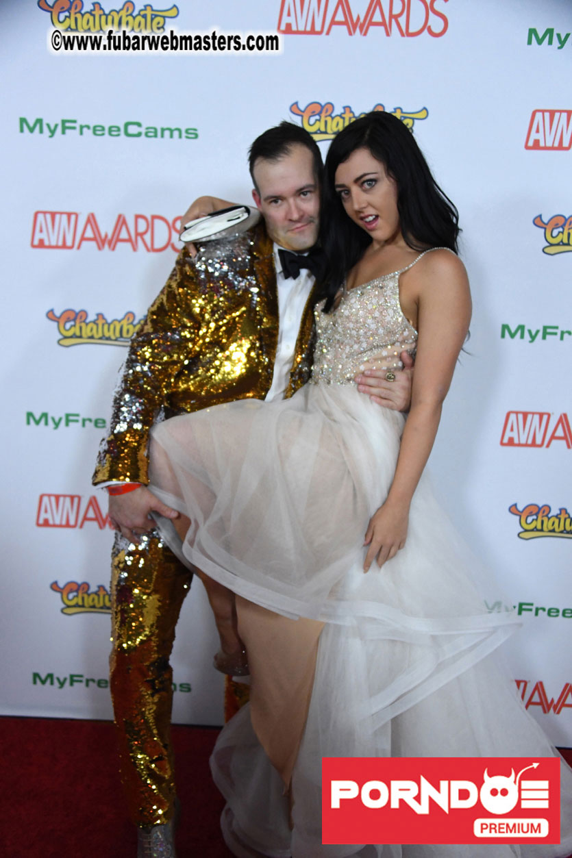 The 2017 AVN Awards