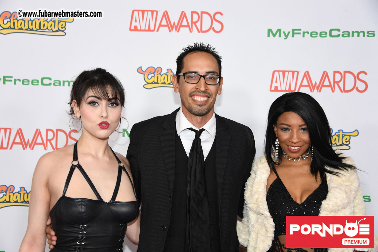 The 2017 AVN Awards