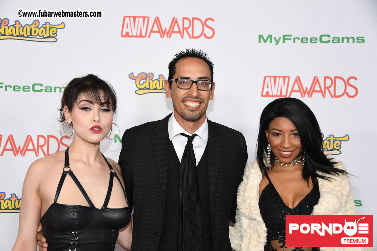 The 2017 AVN Awards