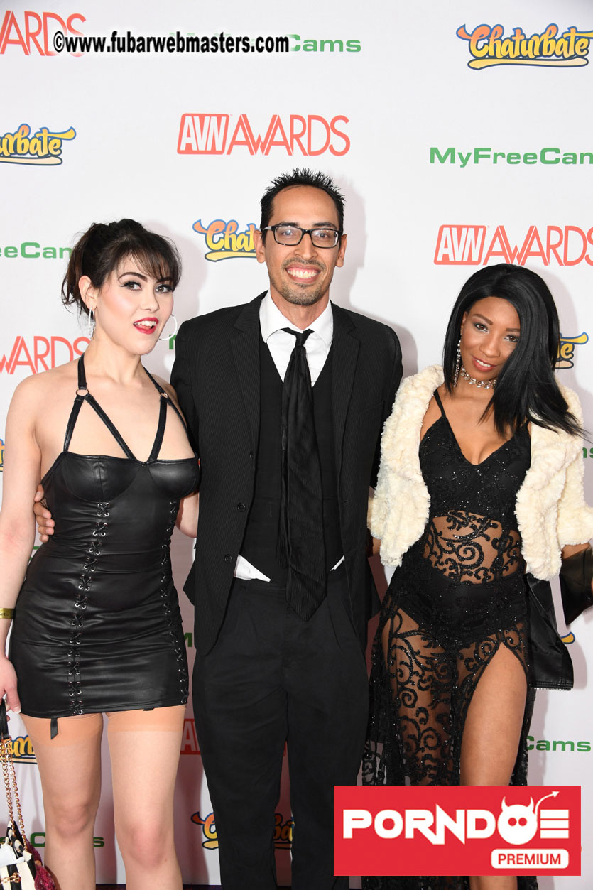 The 2017 AVN Awards