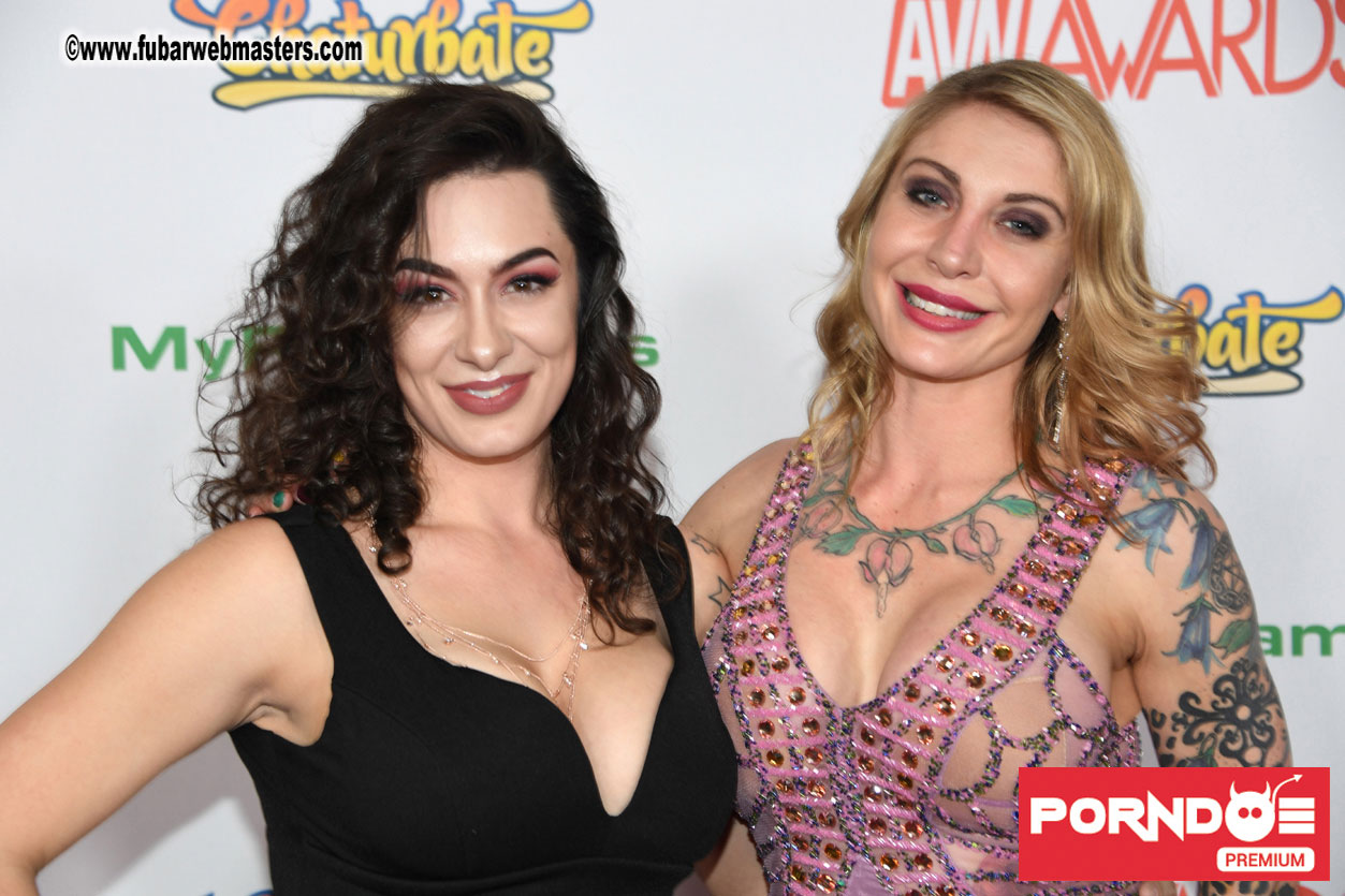 The 2017 AVN Awards