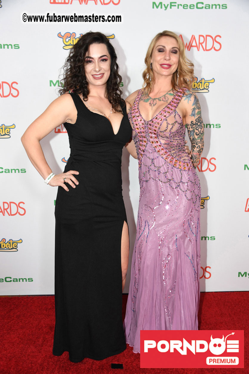 The 2017 AVN Awards