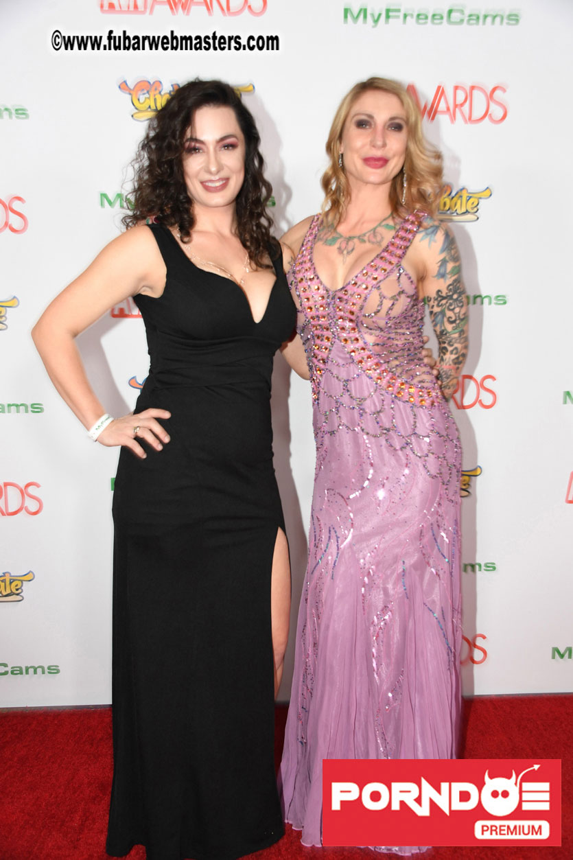 The 2017 AVN Awards