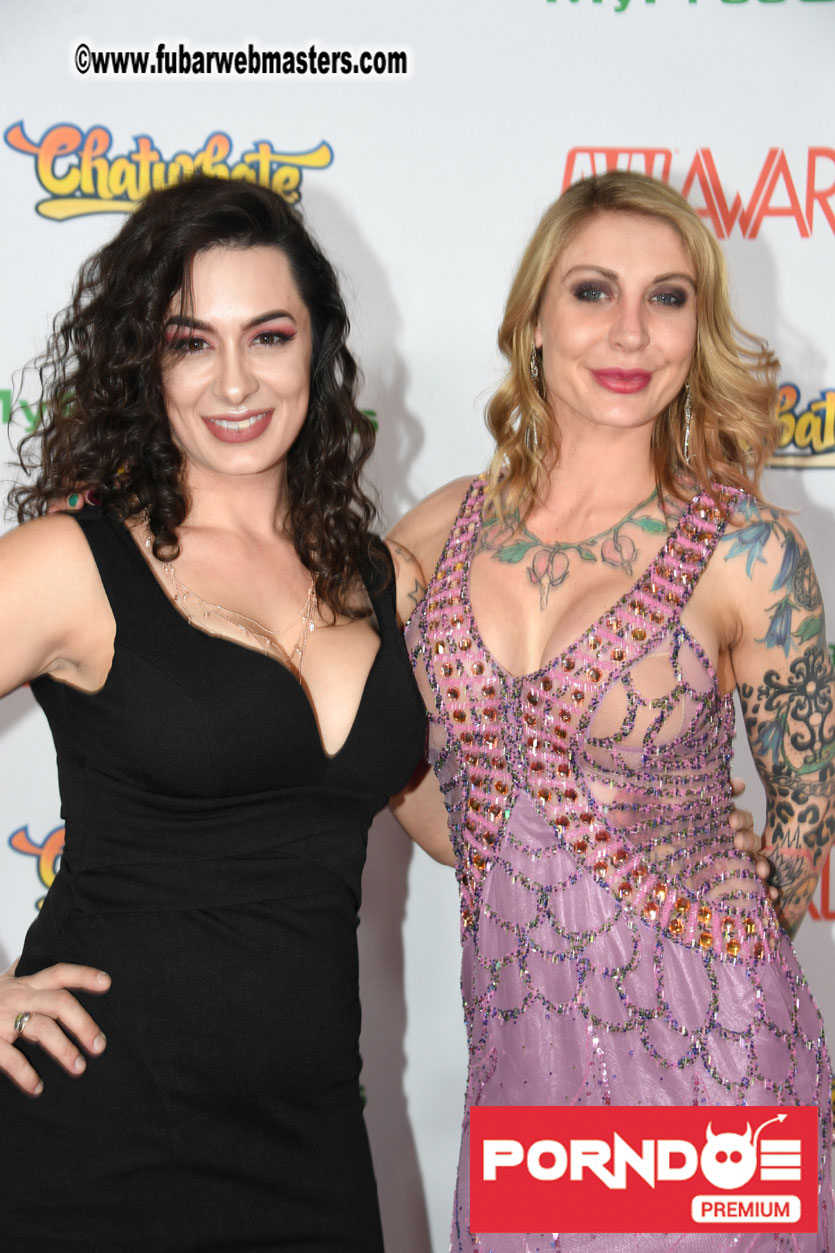 The 2017 AVN Awards