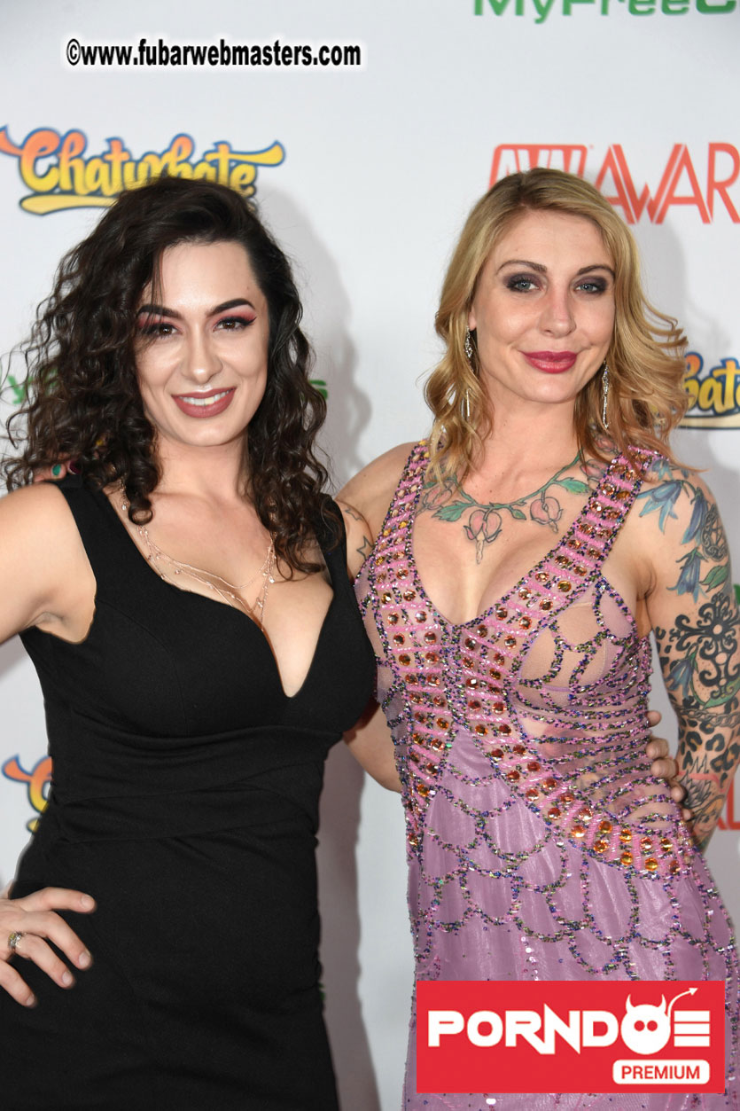 The 2017 AVN Awards