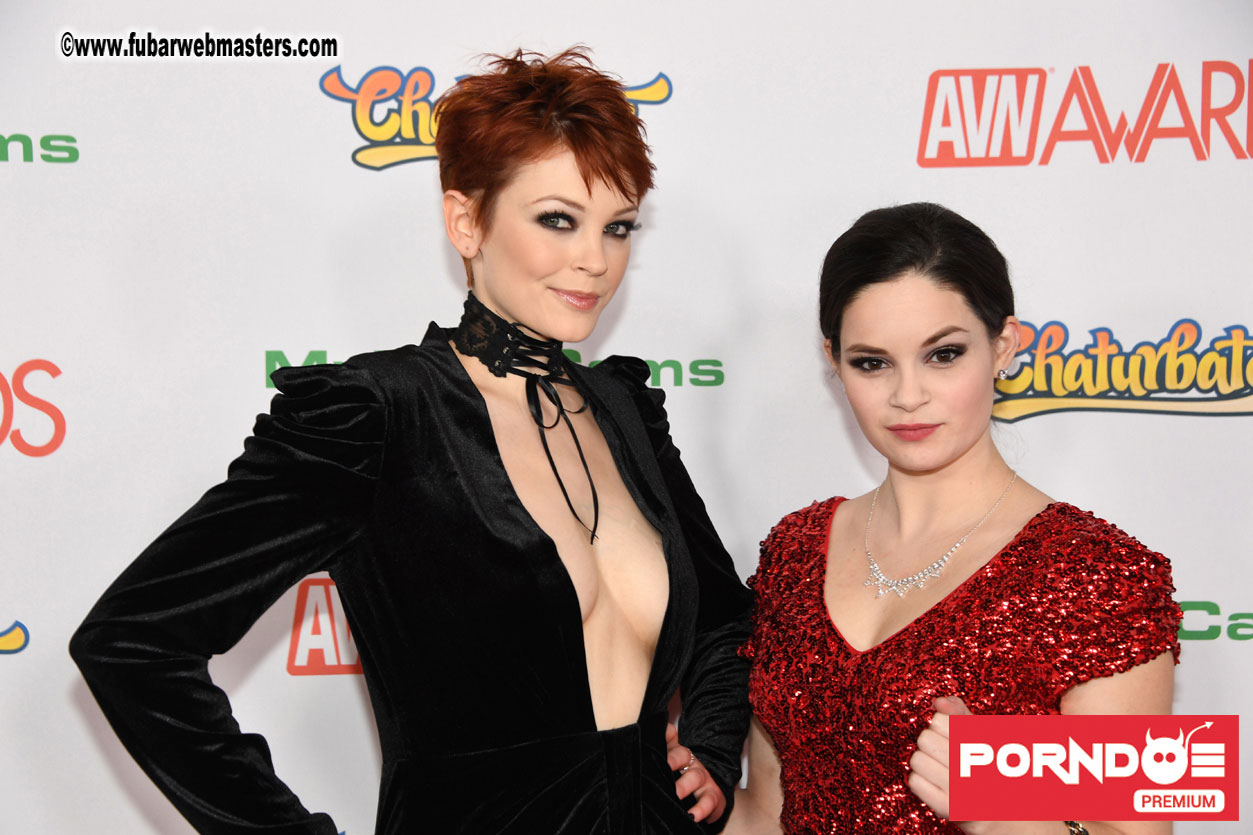 The 2017 AVN Awards