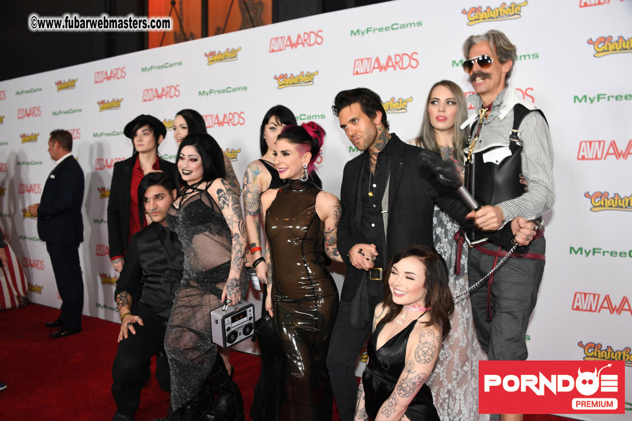 The 2017 AVN Awards