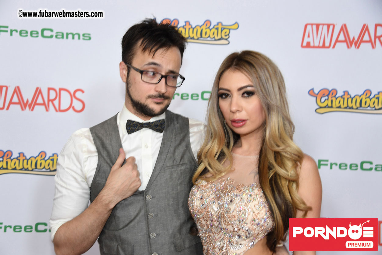 The 2017 AVN Awards