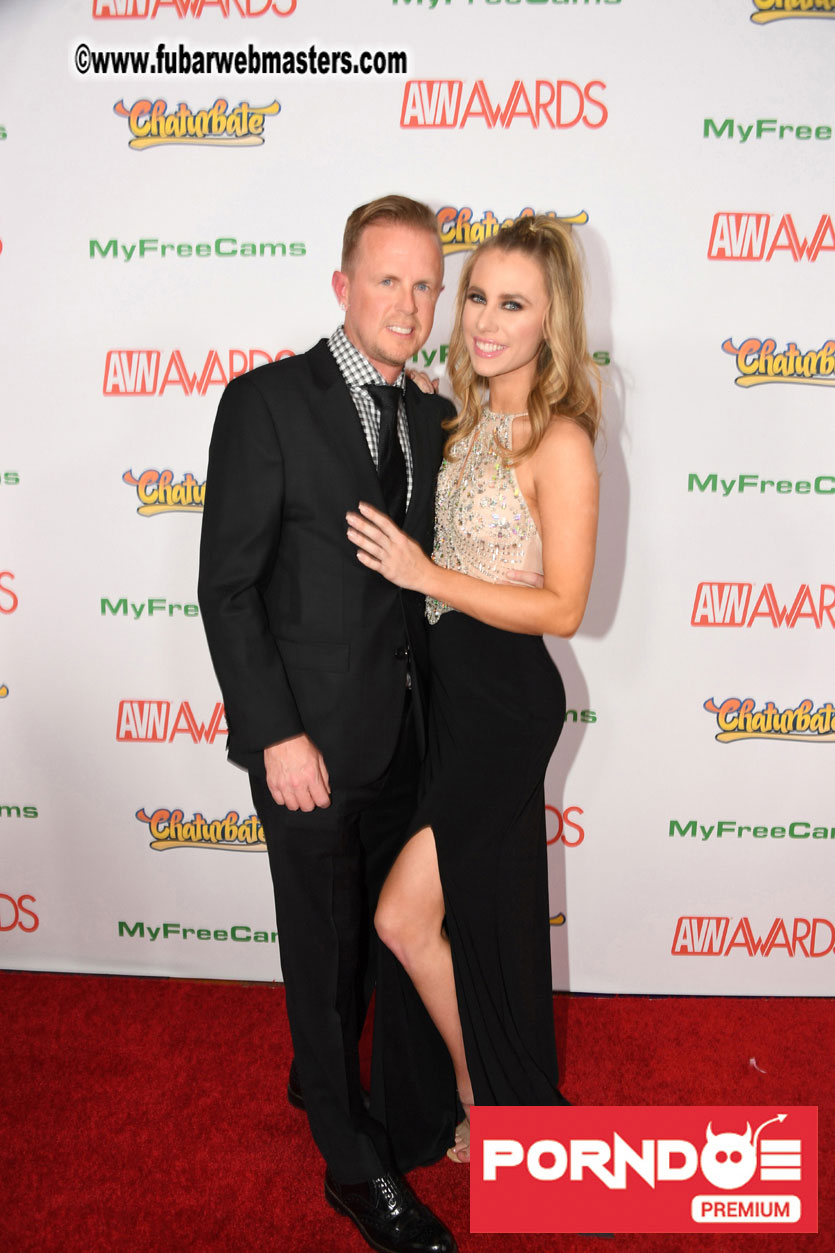 The 2017 AVN Awards