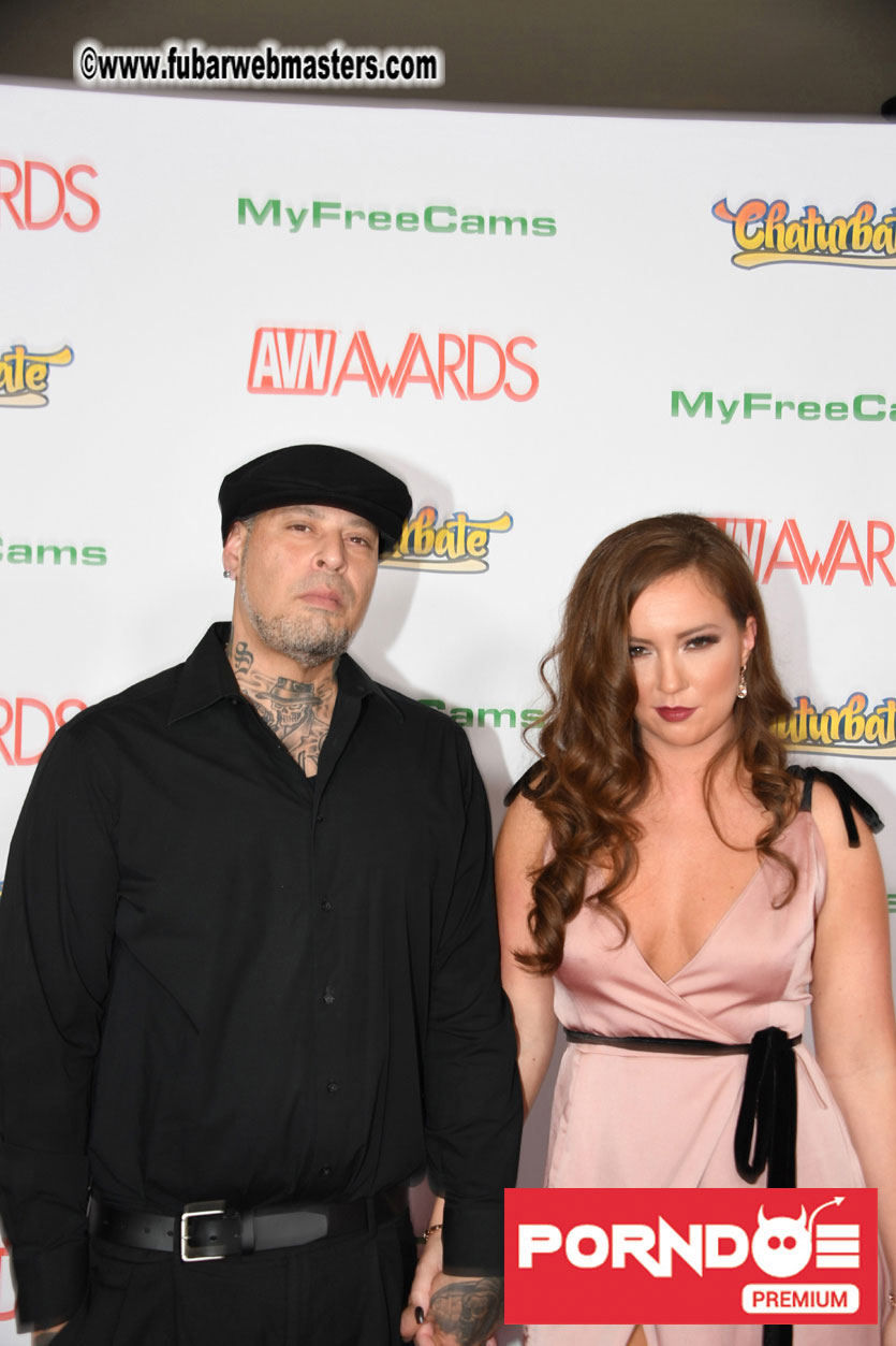 The 2017 AVN Awards