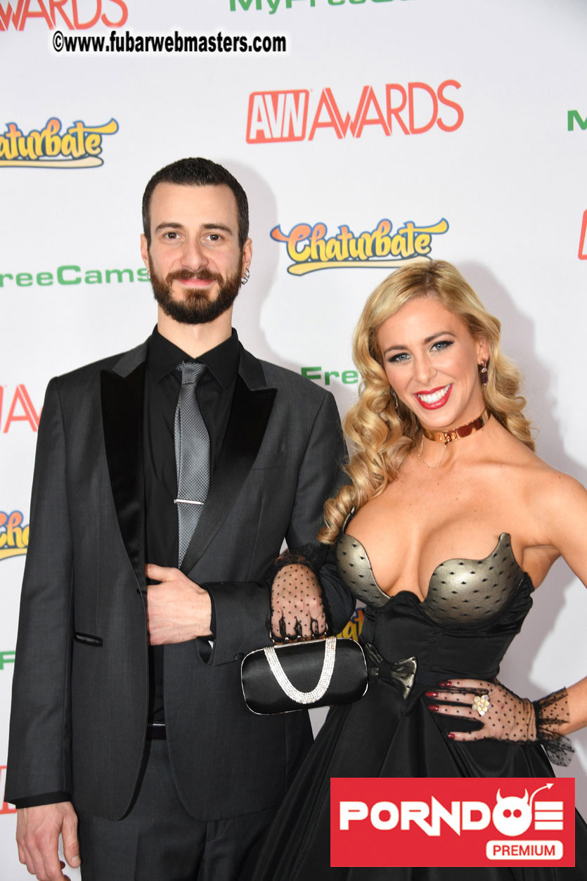 The 2017 AVN Awards