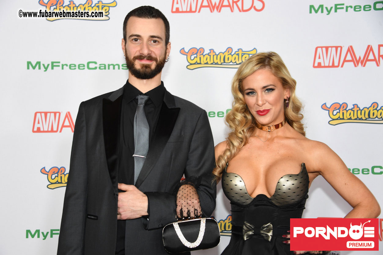 The 2017 AVN Awards