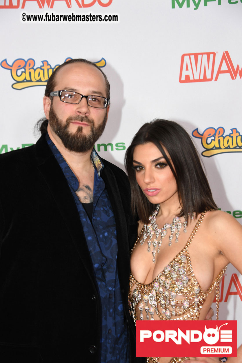 The 2017 AVN Awards