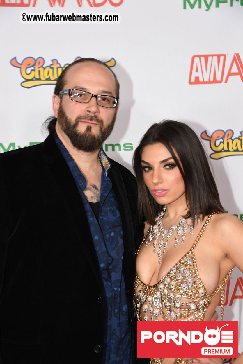 The 2017 AVN Awards