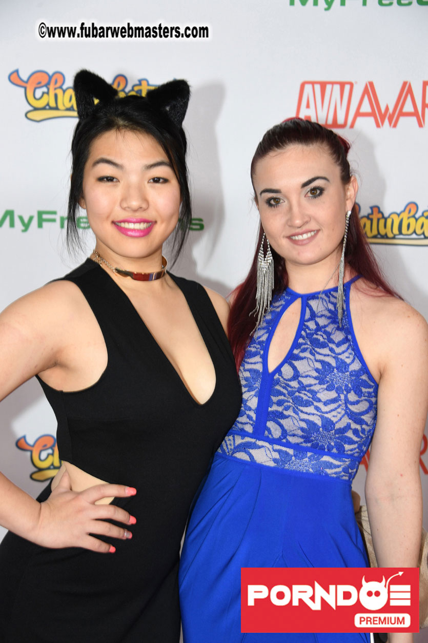 The 2017 AVN Awards