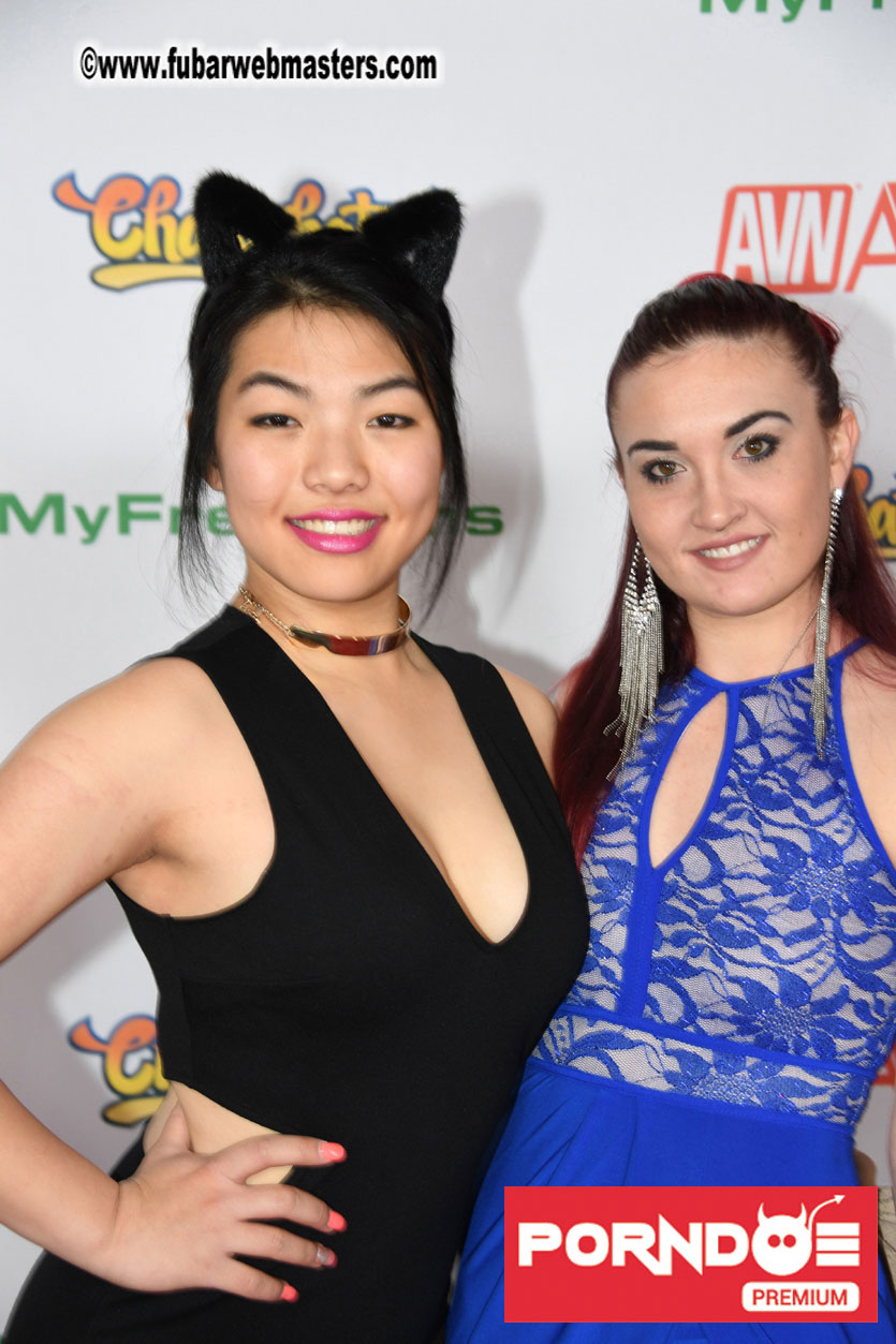 The 2017 AVN Awards