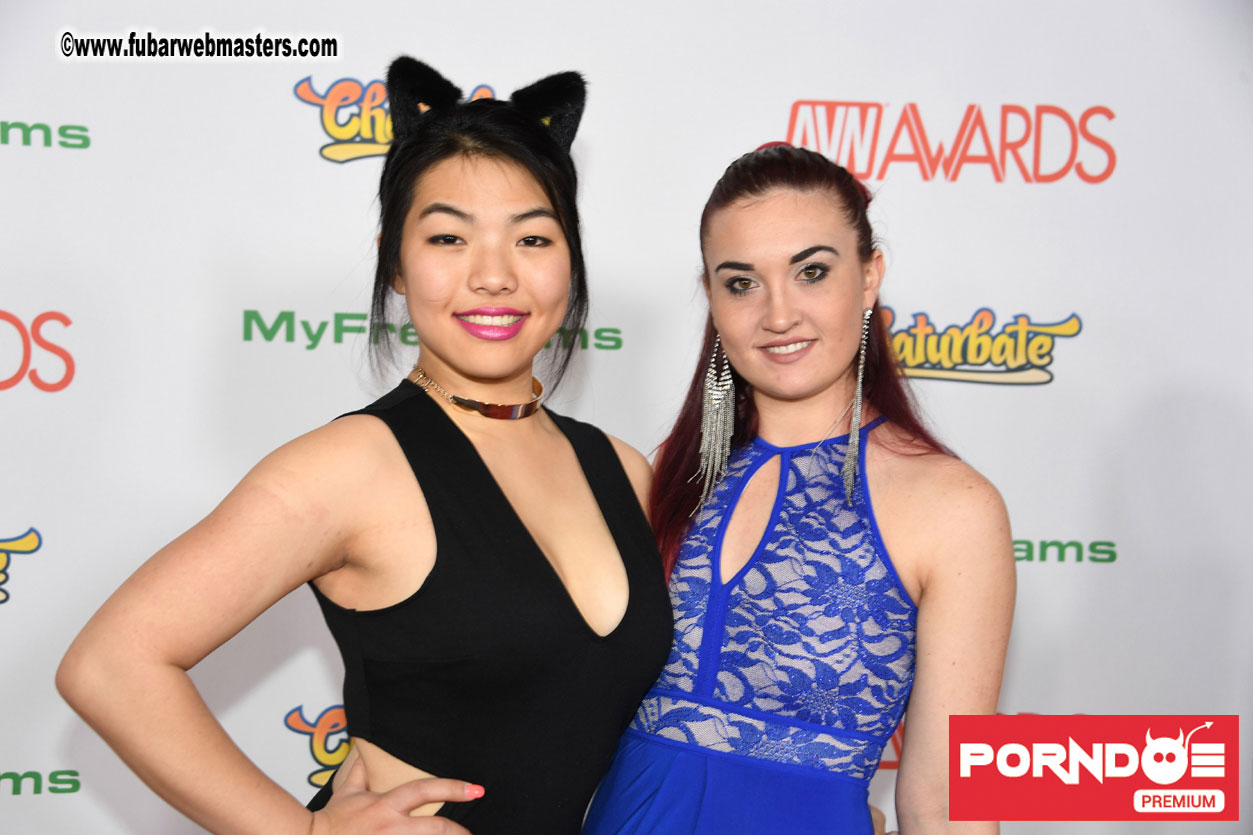 The 2017 AVN Awards