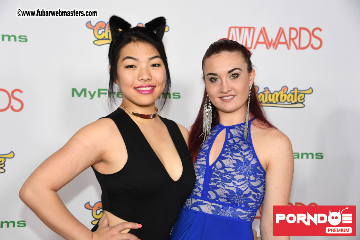 The 2017 AVN Awards